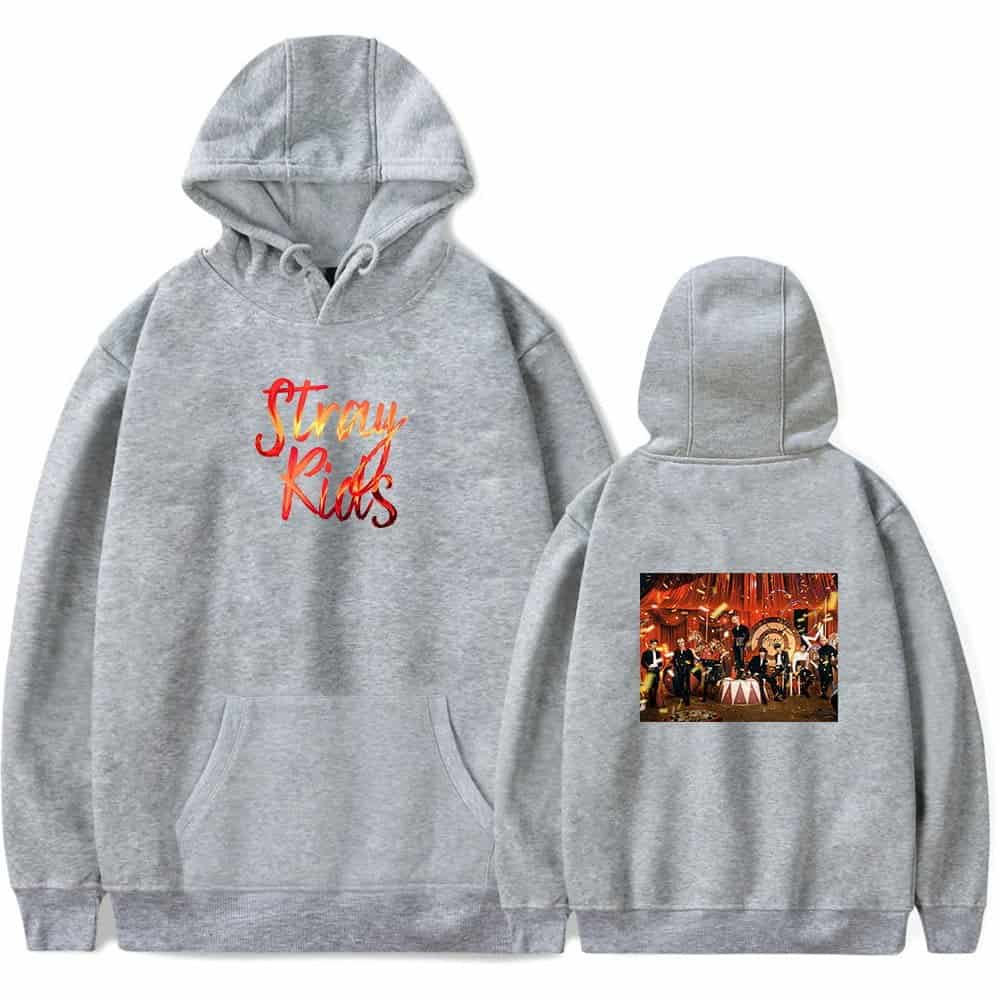 Vintage grey hoodie with "Stray Kids" logo on the front and a concert photo on the back, perfect for K-pop fans.